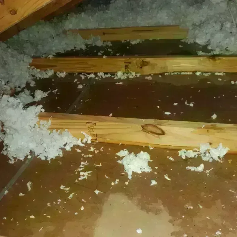 Attic Water Damage in Milford, OH