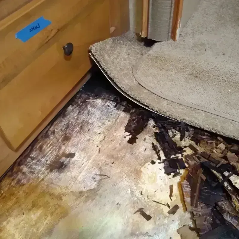 Wood Floor Water Damage in Milford, OH